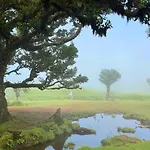 Fisherman's House *
